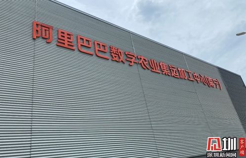 阿里農(nóng)產(chǎn)品產(chǎn)地倉亮相 水果 做ct ,數(shù)字化分選精確到毫米