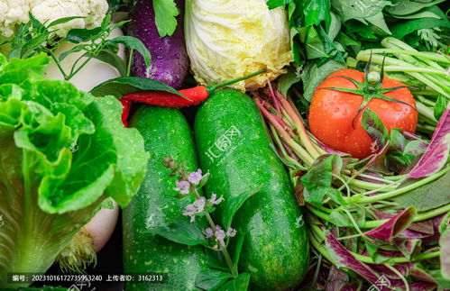 蔬菜之美 中國(guó)菜系中的藝術(shù)與餐飲攝影素材